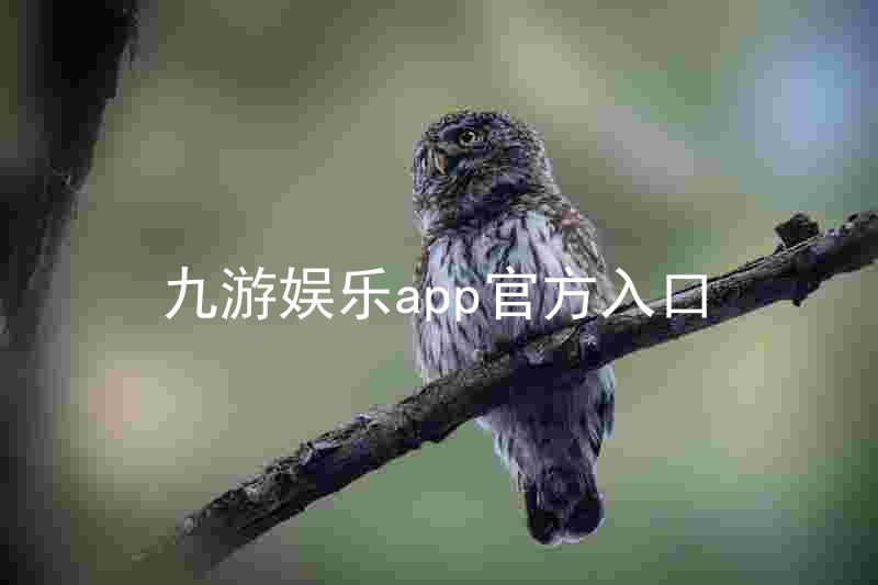 九游娱乐app官方入口