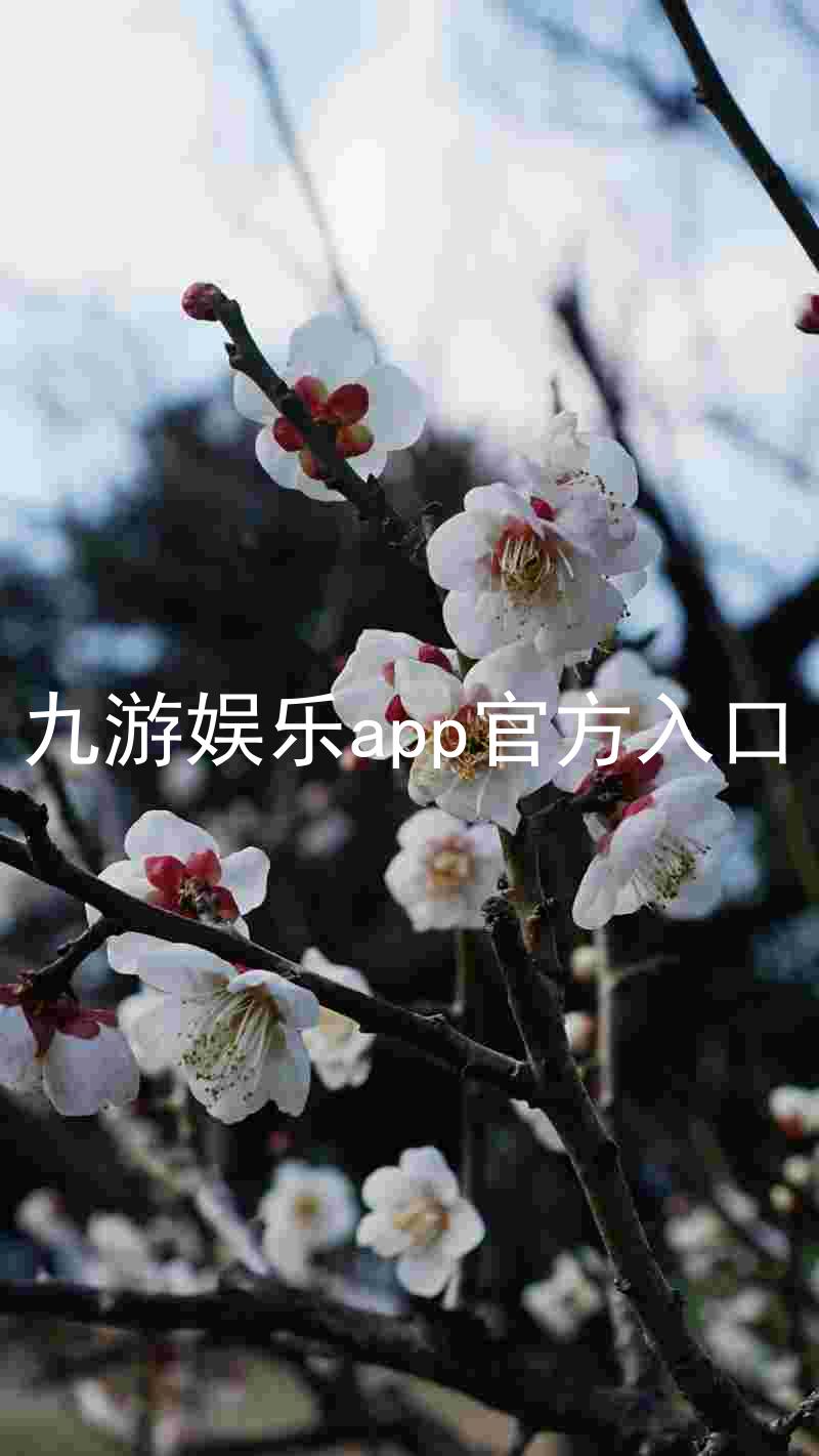 九游娱乐app官方入口
