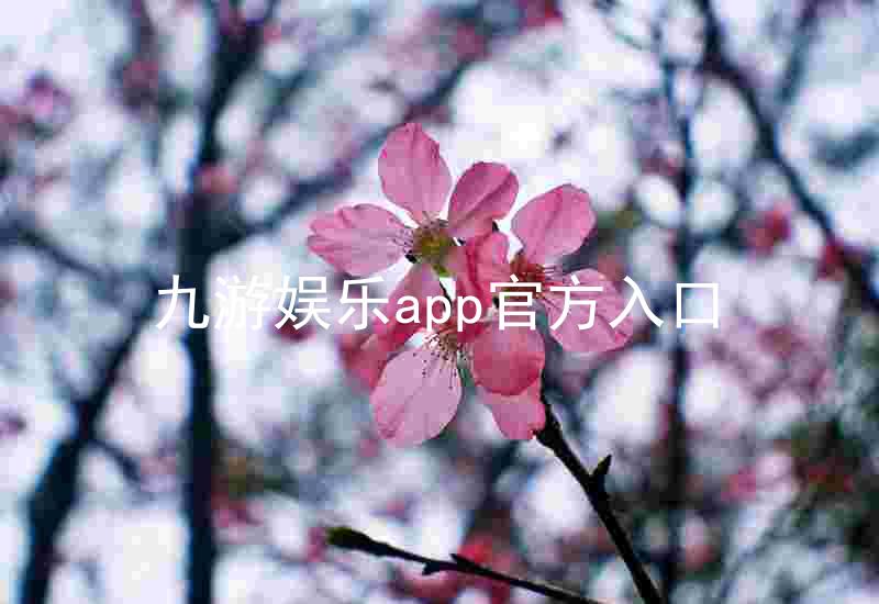 九游娱乐app官方入口